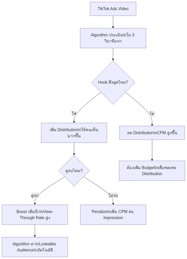 Diagram 1: TikTok Ads Video